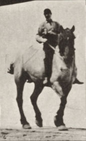 Plate 600 'Dusel' trotting, bareback — figure reference